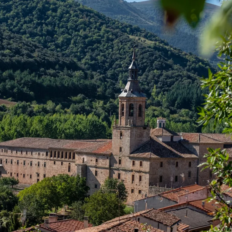 Monasterio con torre y paisajes montañosos al fondo. Vegetación en primer plano.