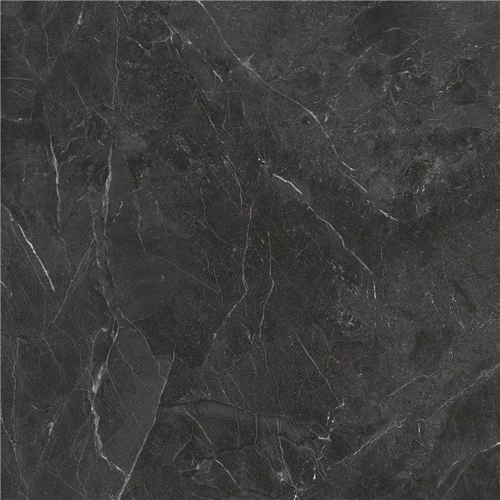 Azulejo de mármol negro con vetas grises y blancas.